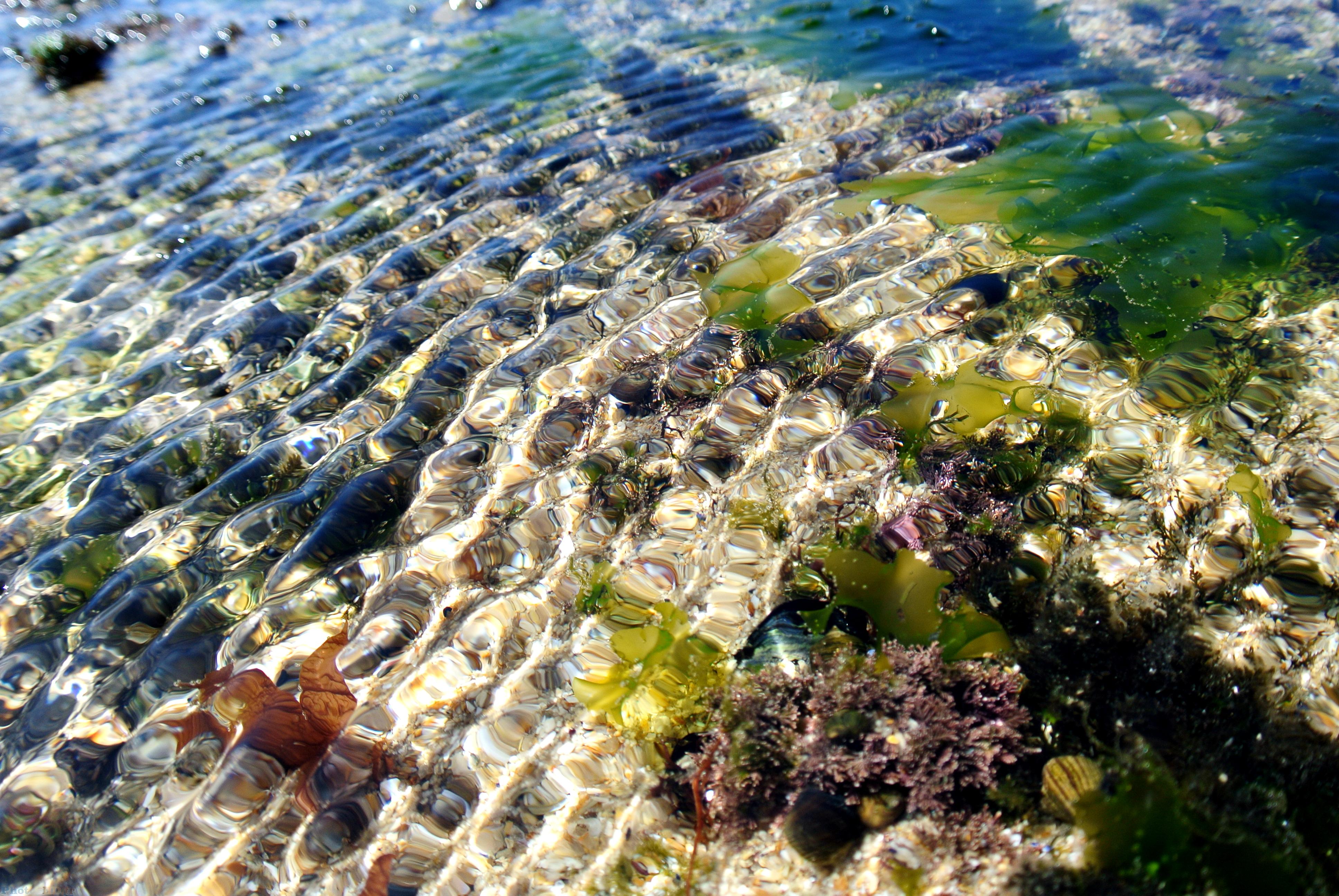 Ondulation de l'eau