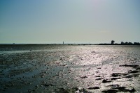 Dans la boue de Noirmoutier