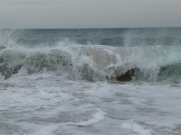 Les vagues de la plage