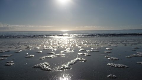Reflets sur le sable mouillé