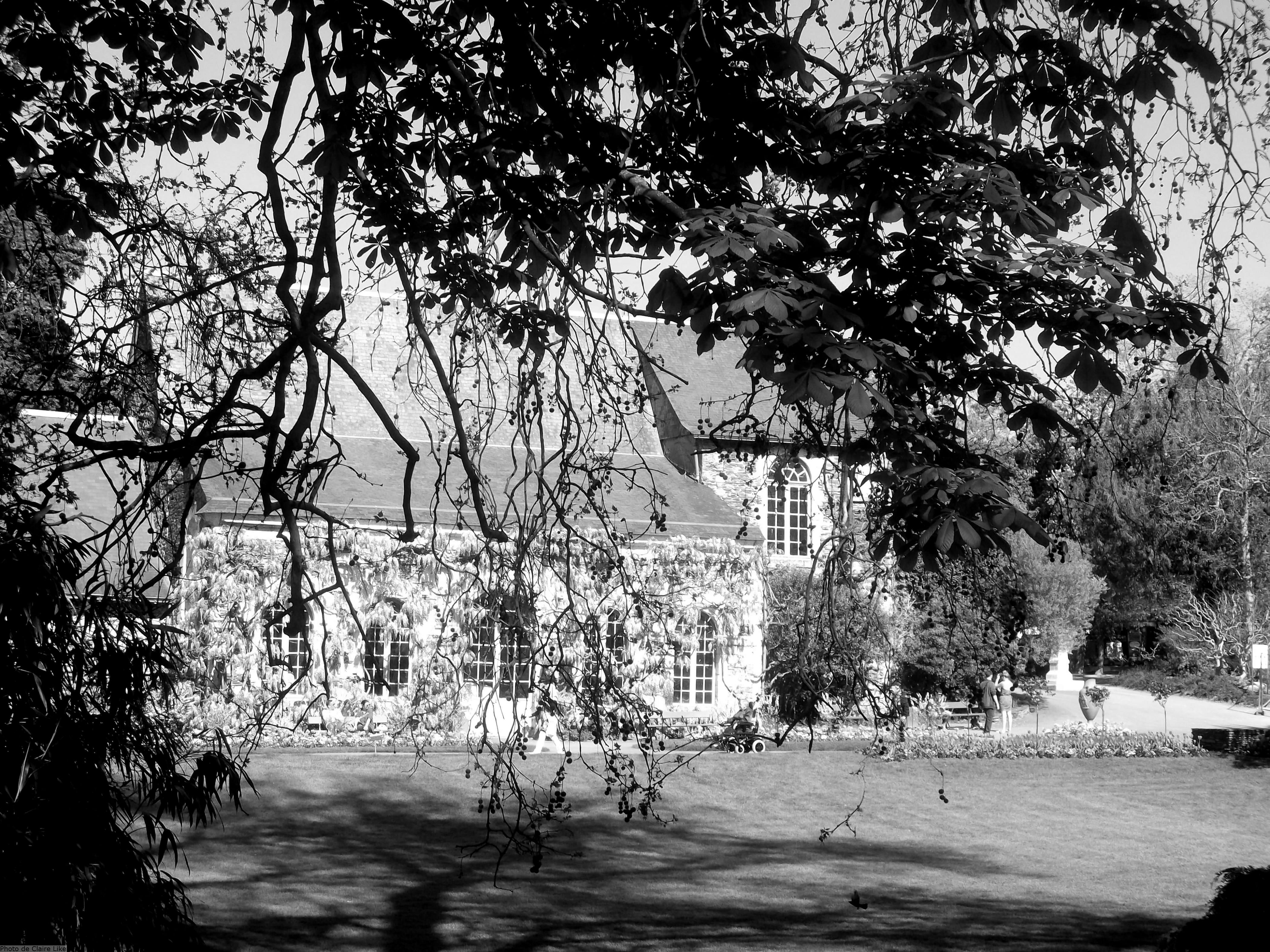 Jardin des plantes