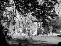 Jardin des plantes