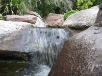 La petite cascade du jardin des plantes