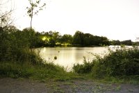 L'Erdre la nuit