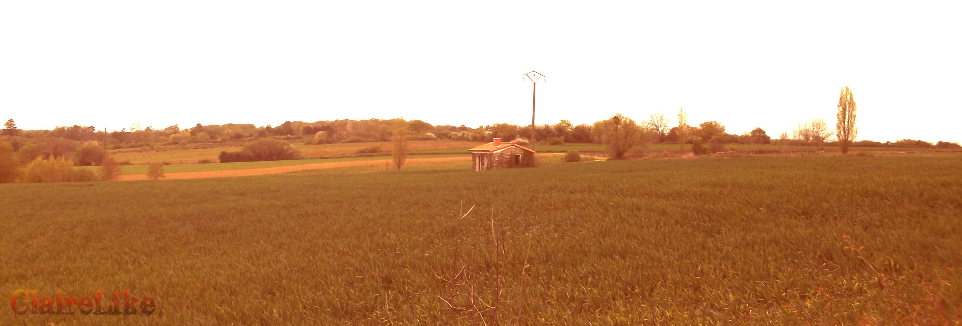 La petite maison dans la prairie