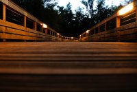 Pont au bord de l'Erdre