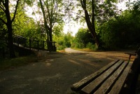 Le banc au bord de l'Erdre