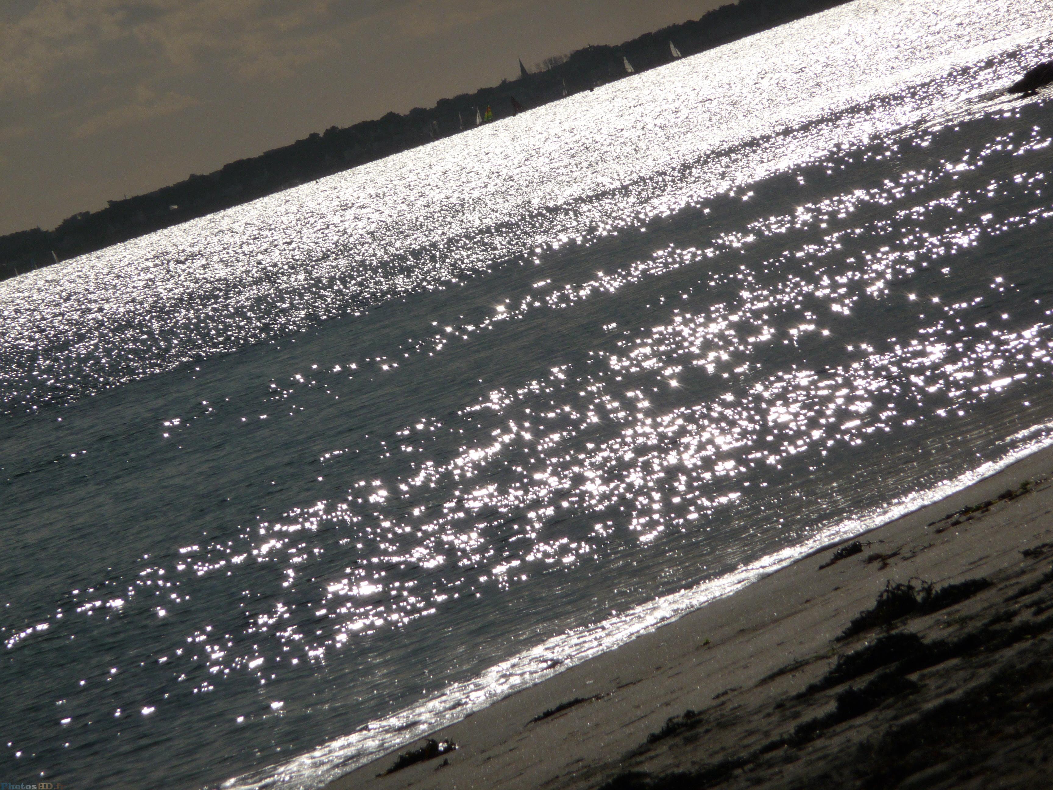 Les &eacute;toiles de la mer