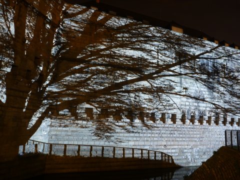Ombres sur le ch&acirc;teau des ducs de Bretagne