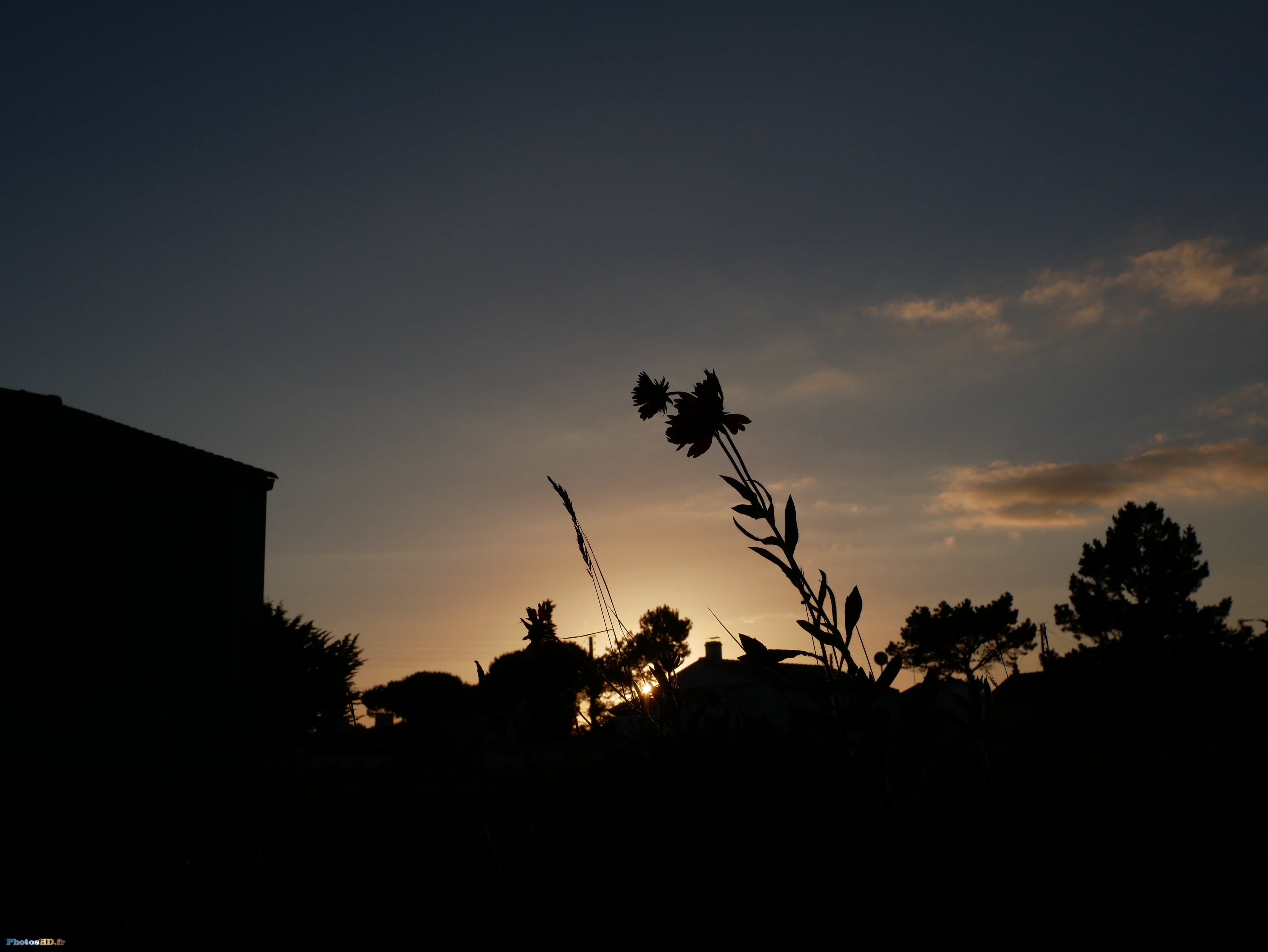 Couch&eacute; de soleil