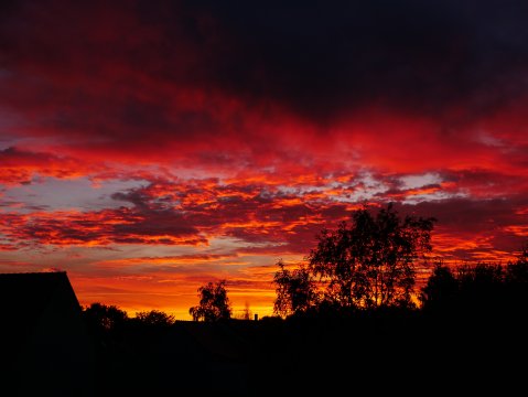 Couch&eacute; de soleil