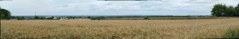Panorama d'un champs de bl&eacute;