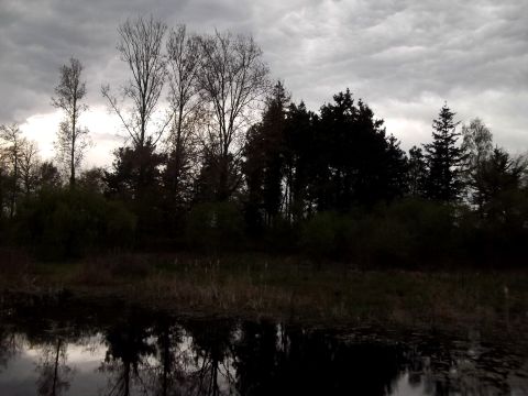 Etang