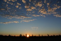 Couch&eacute; de soleil