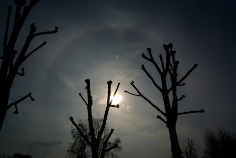 Arc-en-ciel autour du soleil